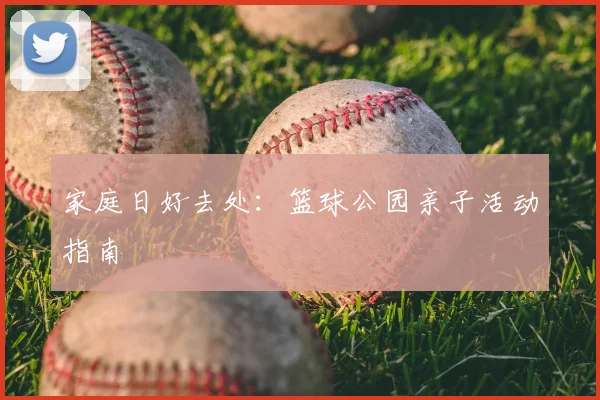 家庭日好去处：篮球公园亲子活动指南