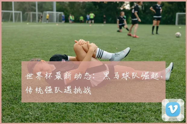 世界杯最新动态：黑马球队崛起，传统强队遇挑战