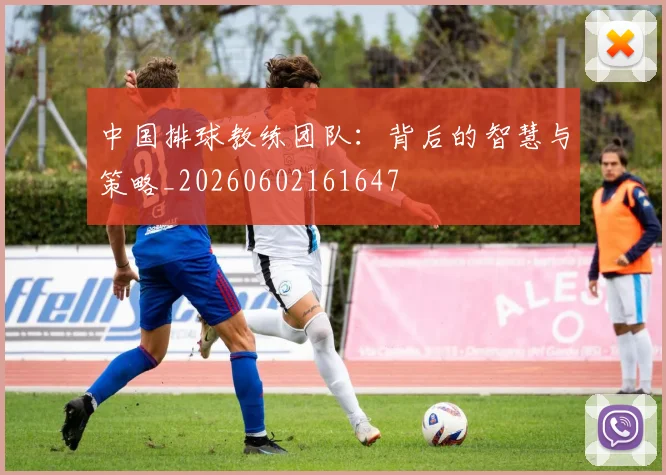 中国排球教练团队：背后的智慧与策略_20260602161647