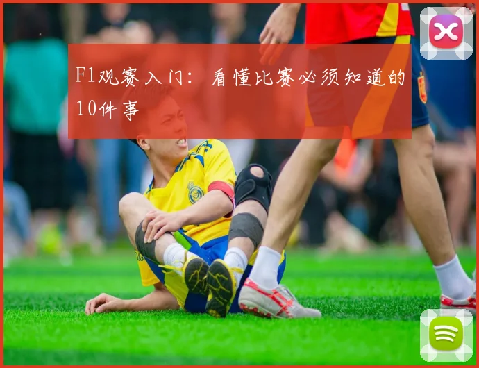 F1观赛入门：看懂比赛必须知道的10件事